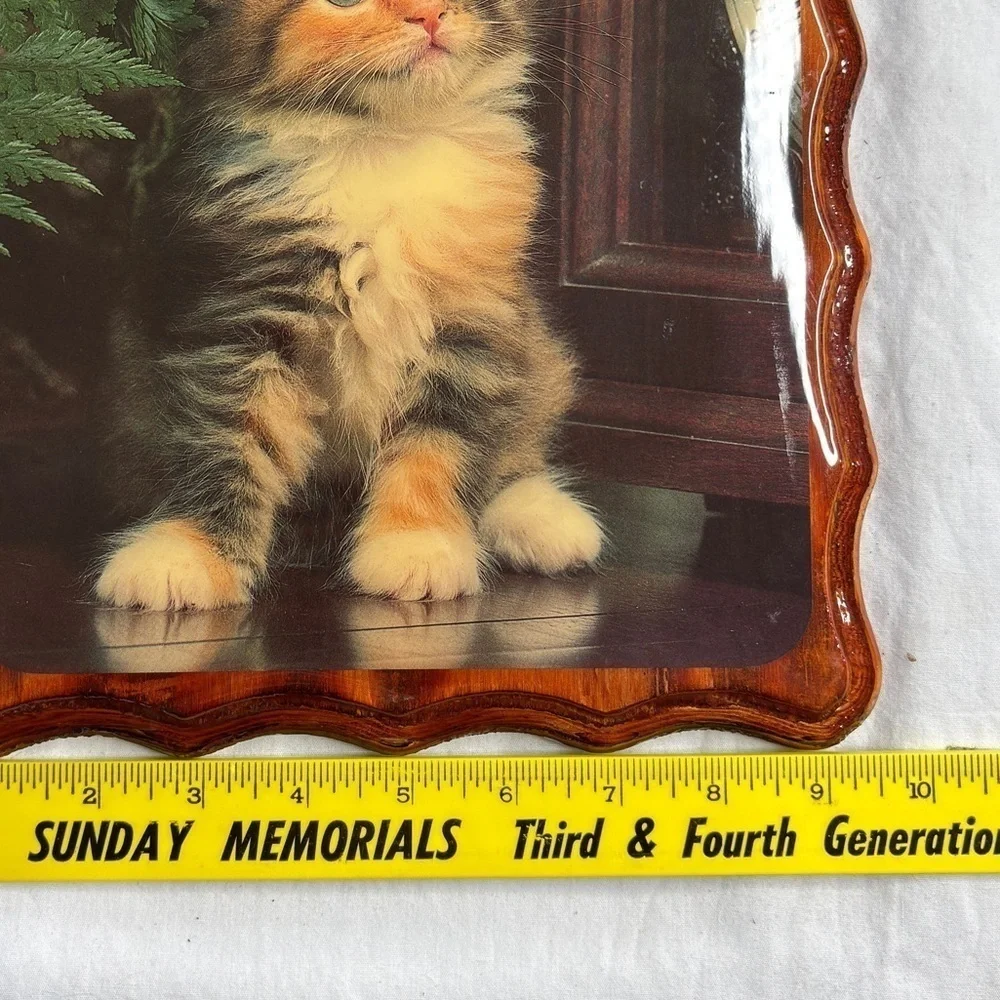 VTG Kitten Picture Lacquered Mounted Decor Calico Cat 9